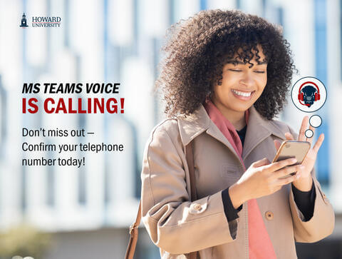 MS teams voice graphic